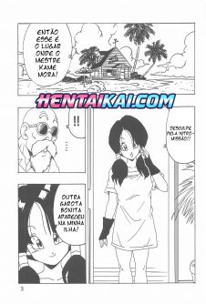 Videl LOVE - Foto 