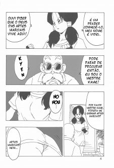 Videl LOVE - Foto 
