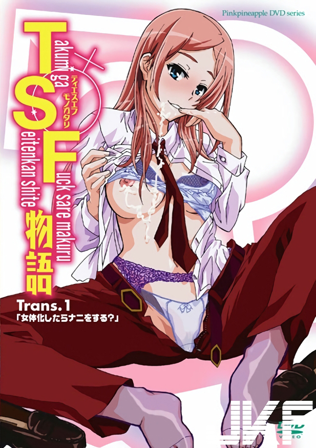 TSF Monogatari