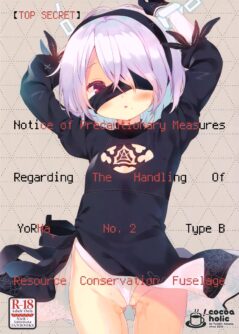 YoRHa 2B-gata Shoushizai Kitai no Toriatsukaidoki ni Okeru Chuui Jikou Tsuutasu - Foto 