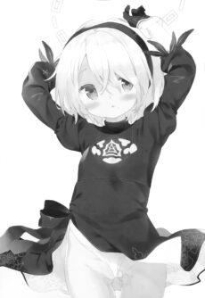 YoRHa 2B-gata Shoushizai Kitai no Toriatsukaidoki ni Okeru Chuui Jikou Tsuutasu - Foto 